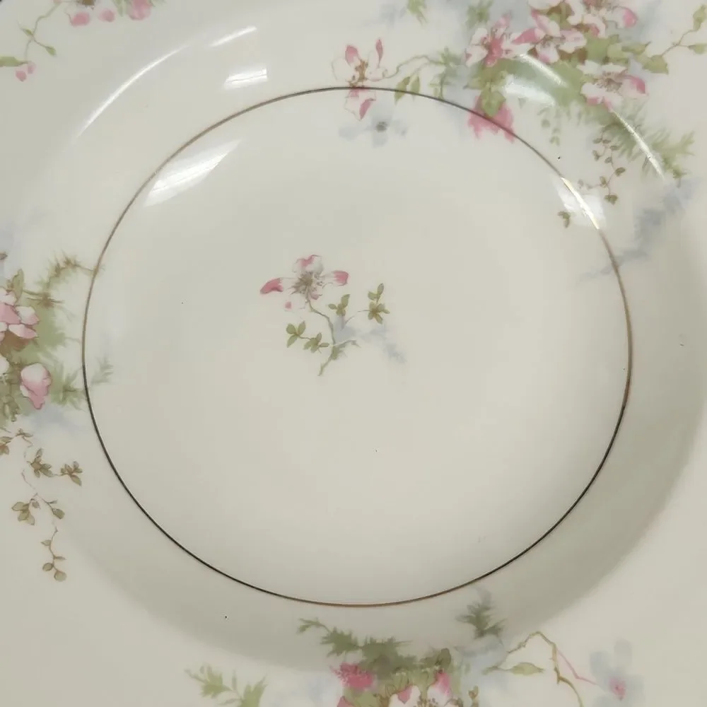 Theodore Haviland Apple Blossom Floral Soup Bowl